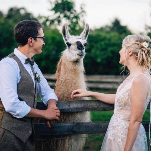 Skipbridge Farm Glamping Γιορκ Εξωτερικό φωτογραφία